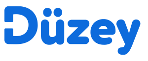 Düzey